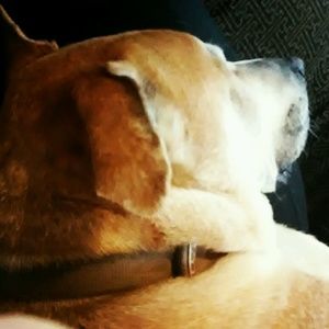 Meet your Posher, Mary